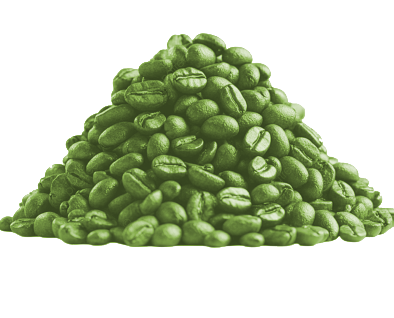 GREEN COFFEE BEAN