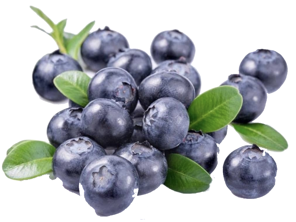 Wild Blueberry Extract