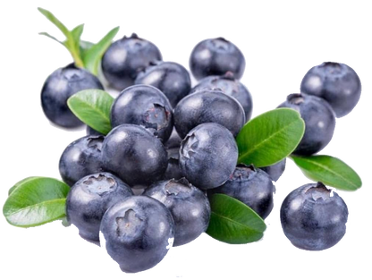 Wild Blueberry Extract