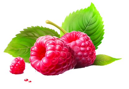 RASPBERRY KETONE